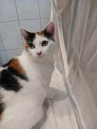 Mimi (Mama)