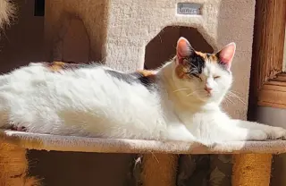 Mimi (Mama)