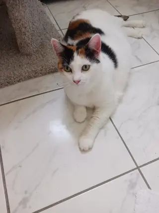 Mimi (Mama)