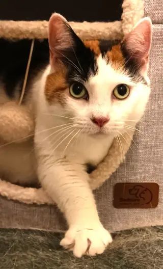 Mimi (Mama)