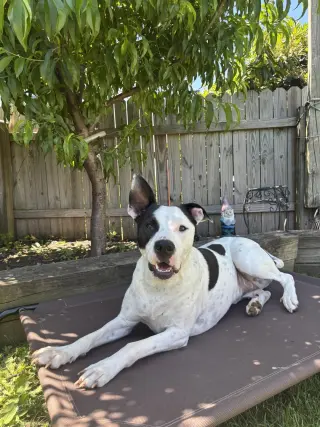 Radar - Ready for Fun!