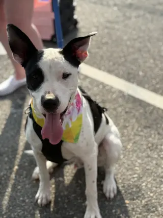 Radar - Ready for Fun!