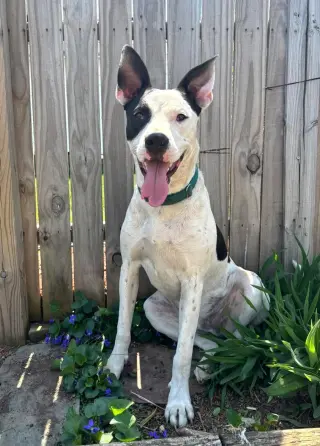 Radar - Ready for Fun!