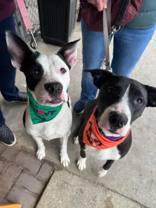 Radar - Ready for Fun!