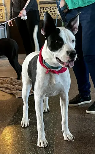 Radar - Ready for Fun!