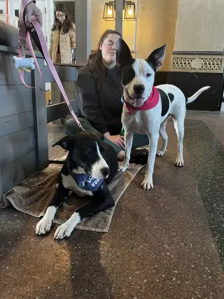 Radar - Ready for Fun!
