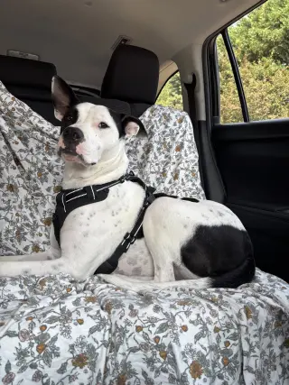 Radar - Ready for Fun!