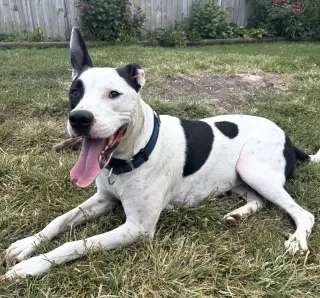 Radar - Ready for Fun!