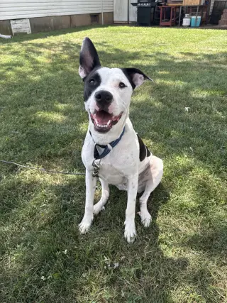 Radar - Ready for Fun!