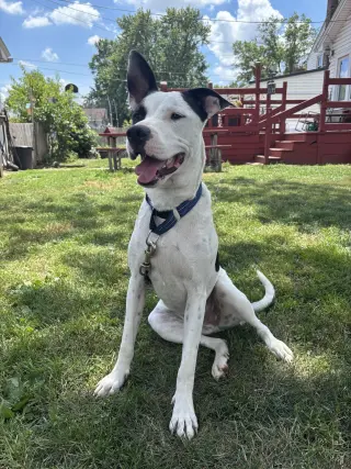 Radar - Ready for Fun!