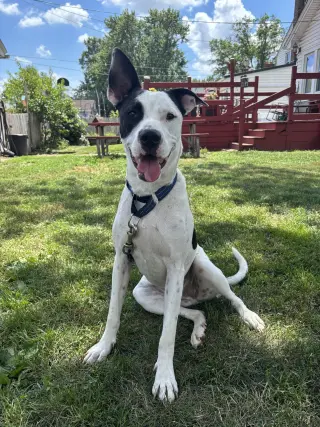 Radar - Ready for Fun!