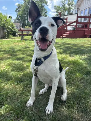 Radar - Ready for Fun!