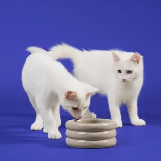 McFlurry (bonded w/ Boba)