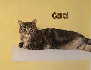 Carol