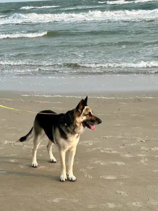 Maggie