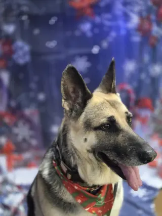 Maggie