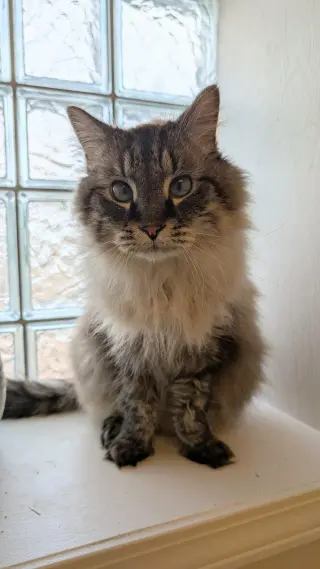 Charlie
