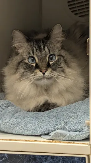 Charlie