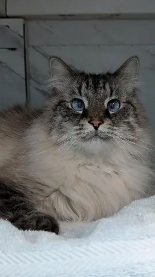 Charlie