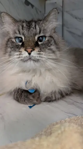 Charlie