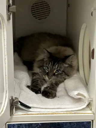 Charlie