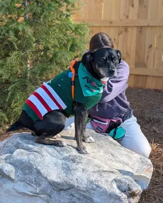 Yasmeen