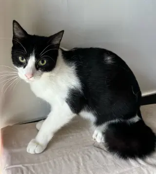 KIERAN