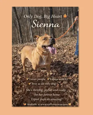 Sienna
