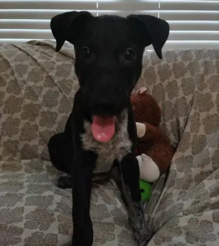Stanley