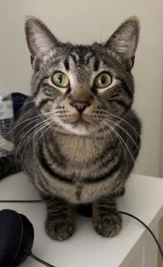 Chester