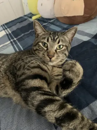Chester