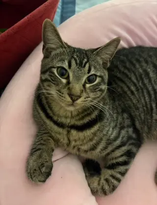 Chester