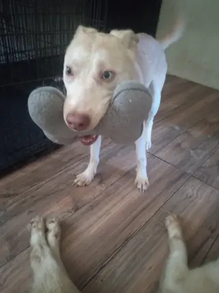 Bingo