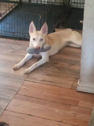 Bingo