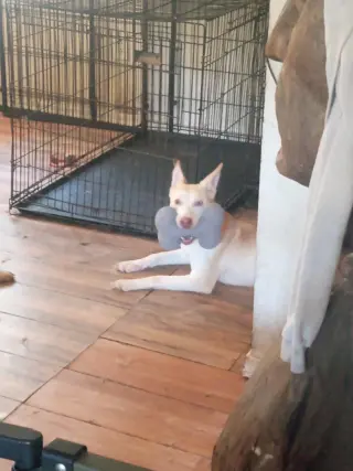 Bingo