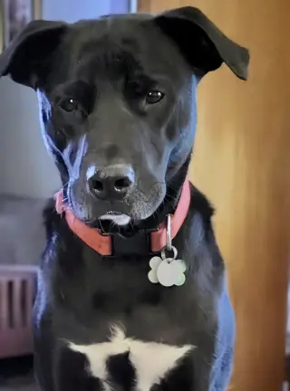 Bruce