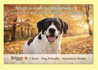 Briggs