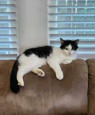 Millie