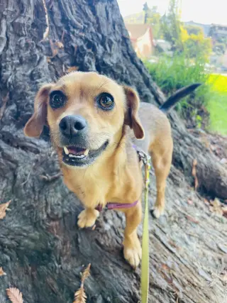 Suzie