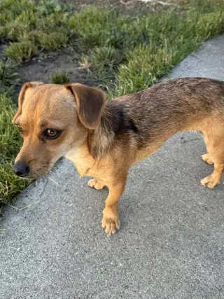 Suzie