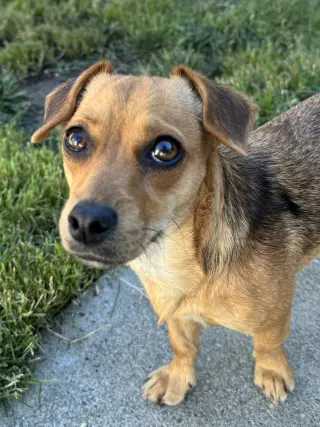 Suzie
