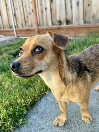 Suzie