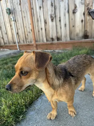 Suzie