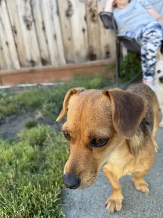 Suzie