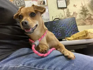 Suzie