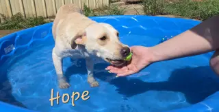 Hope