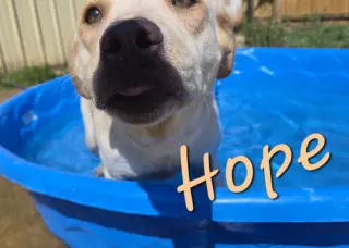 Hope