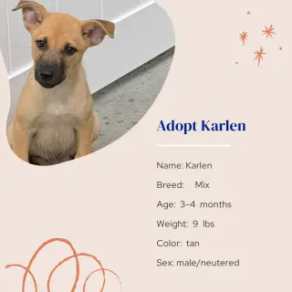 Karlen