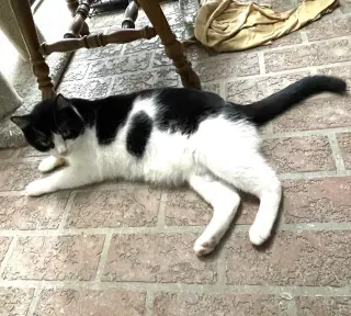 Felix #enjoys-kids