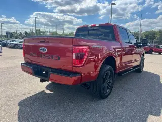 Ford F-150 2023 4x4 XLT 4dr SuperCrew 5.5 ft. SB